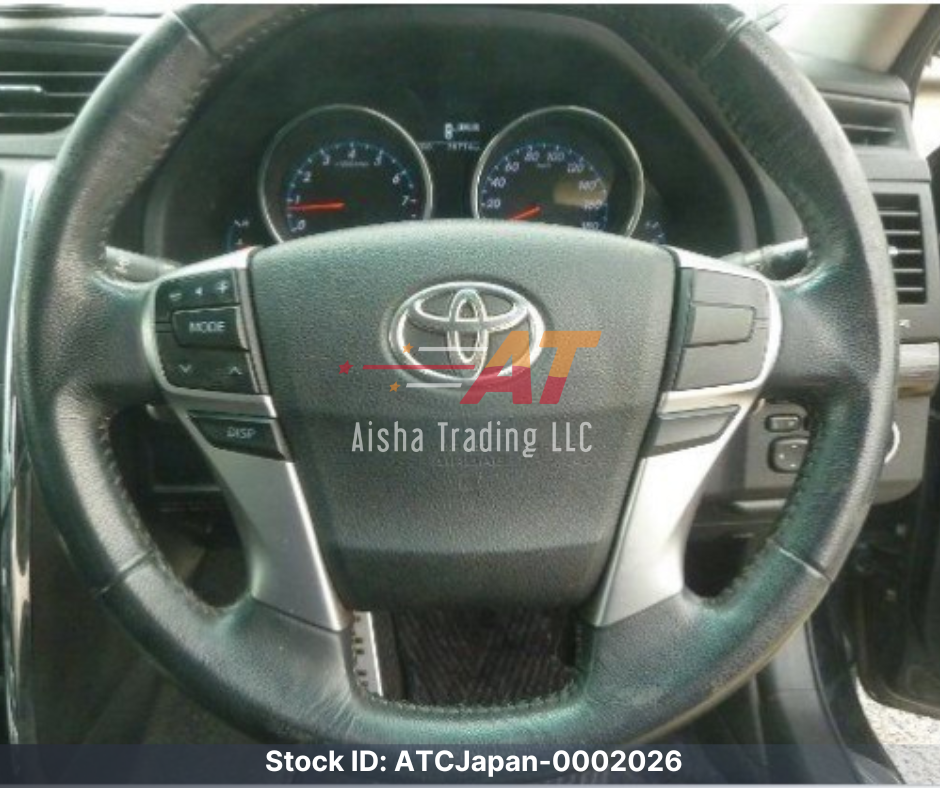 2010 Toyota Mark X